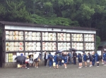 少しずつ集合しています