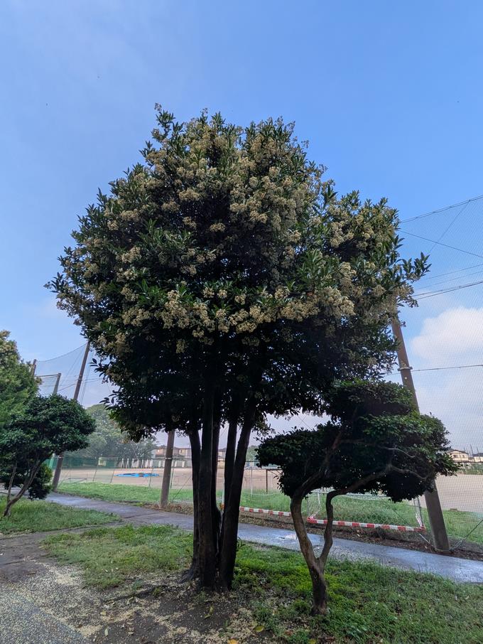 校門入って左側には…