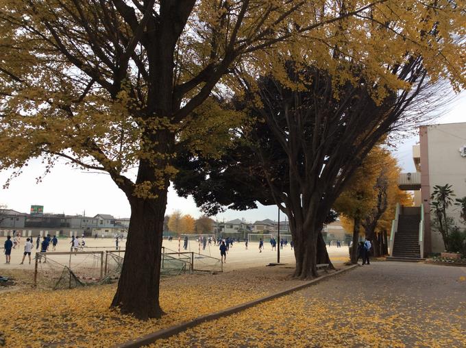 生徒たちの歓声が聞こえます