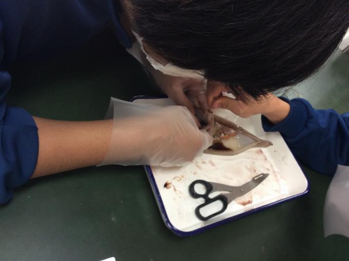 慎重に手元を動かします