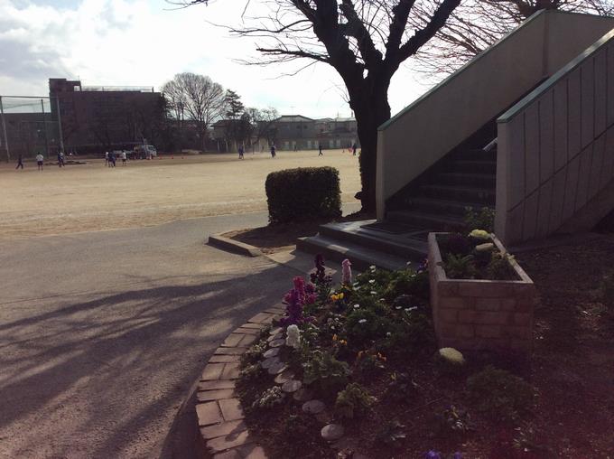 花壇の花もきれいです