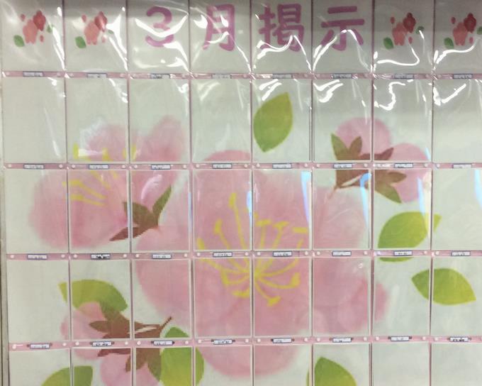 一足早く、開花宣言