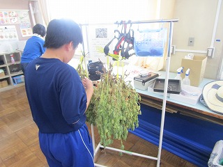 部活