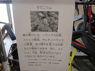 部活