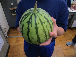 部活