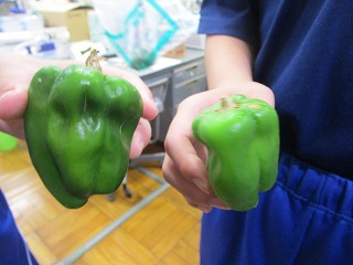 授業