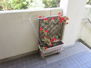 部活