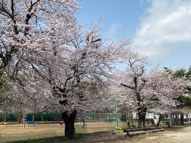 豊中徒然 つれづれ 草 学校サイト
