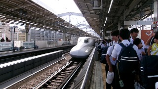 520