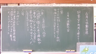 529