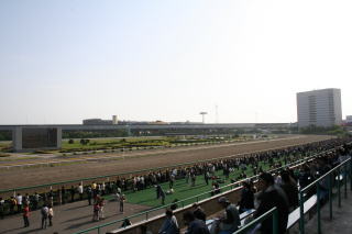 船橋競馬場2