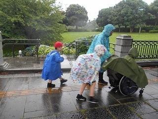 水族園目指して歩きます