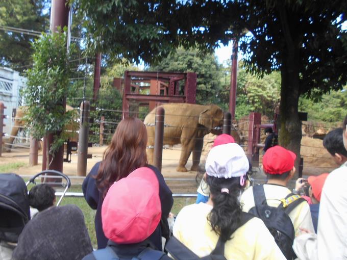 上野動物園