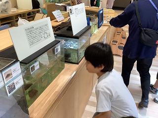 環境資料館