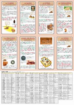 遺跡マップ(裏面)