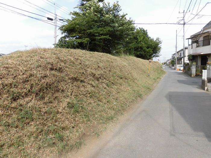 下野牧二和野馬土手の写真