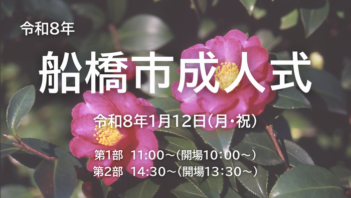 令和8年船橋市成人式（背景：サザンカ）