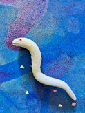 森高2