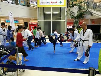 taekwondo2