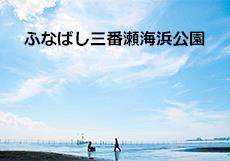 ふなばし三番瀬海浜公園の画像/kanri/relation/p101773_d/img/001.jpg