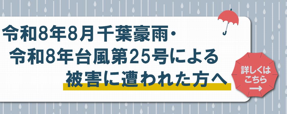 千葉豪雨 台風25号