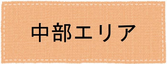 中部地図