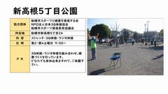 新高根