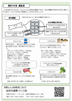 パンフレット2