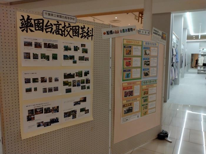 展示写真
