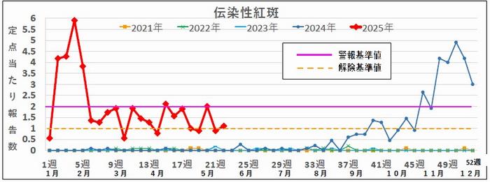 22w5年紅斑