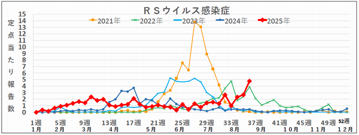 36ｗRSウイルス