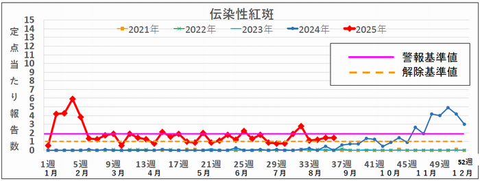 36ｗ伝染性紅斑