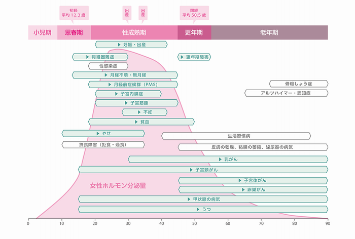 女性のライフステージ