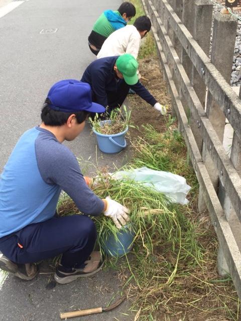 除草作業