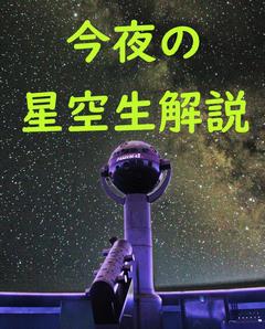 生解説