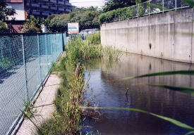 ゲエロの池整備前（せいびまえ）