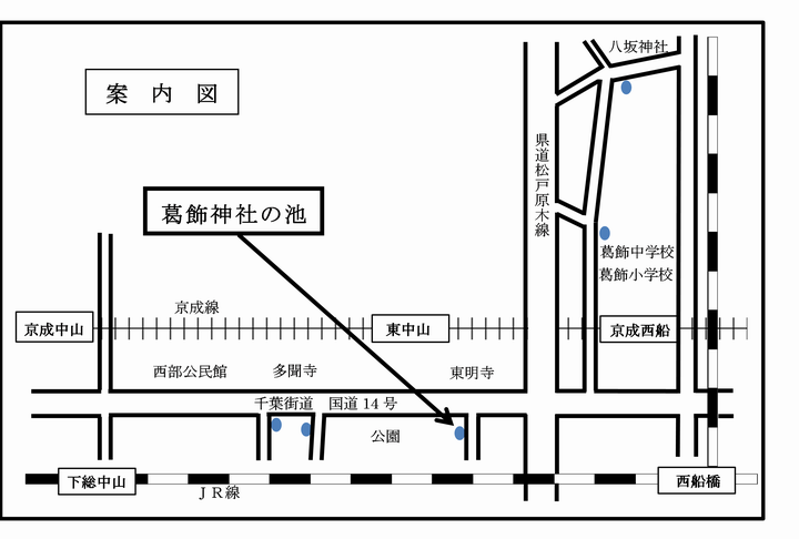 葛飾神社の池　地図