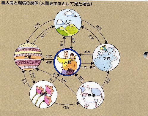 船橋市役所こどもホームページ 1人間と自然環境