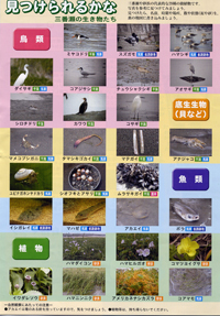 三番瀬自然マップ(表)