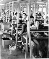 昭和38年頃の金属団地工場の写真