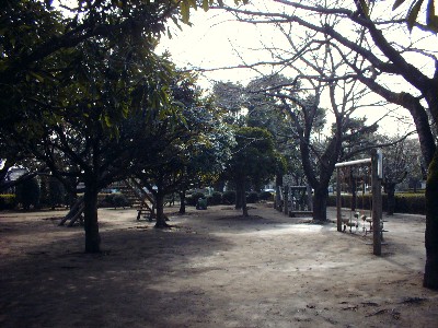 御滝公園アスレチック写真