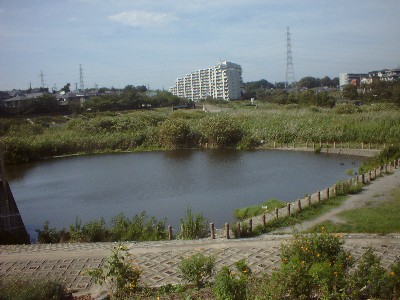 長津川調節池写真