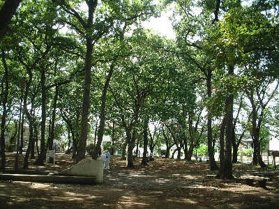 北習志野第3号公園写真