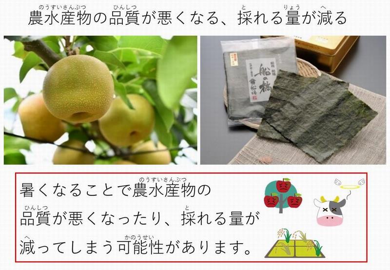 農水産物の品質が悪くなる、採れる量が減る