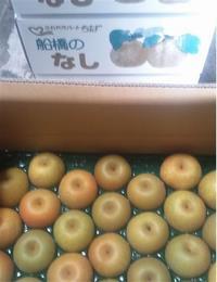 梨画像