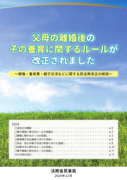 soumusyou_pamphlet