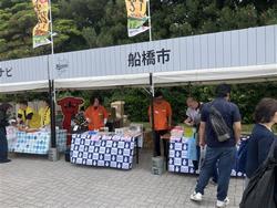 オールフォー千葉