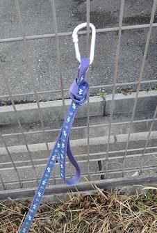 カラビナアップ