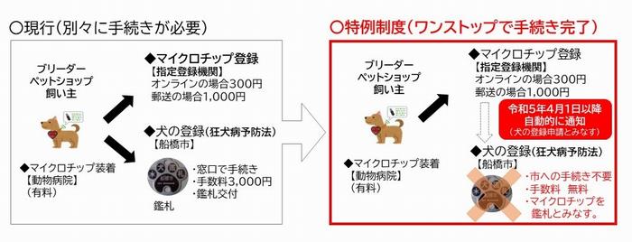 特例制度