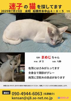 ポスター